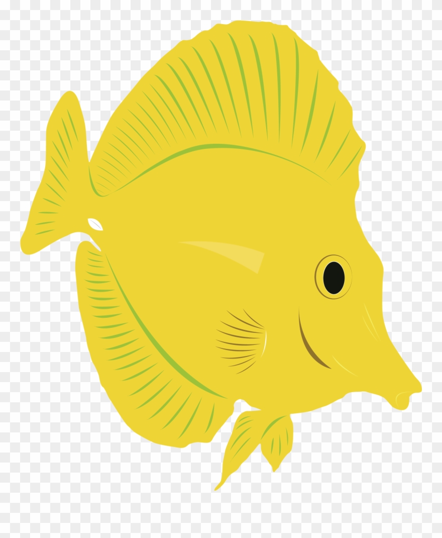 Yellow Tang Drawing At Getdrawings Clipart