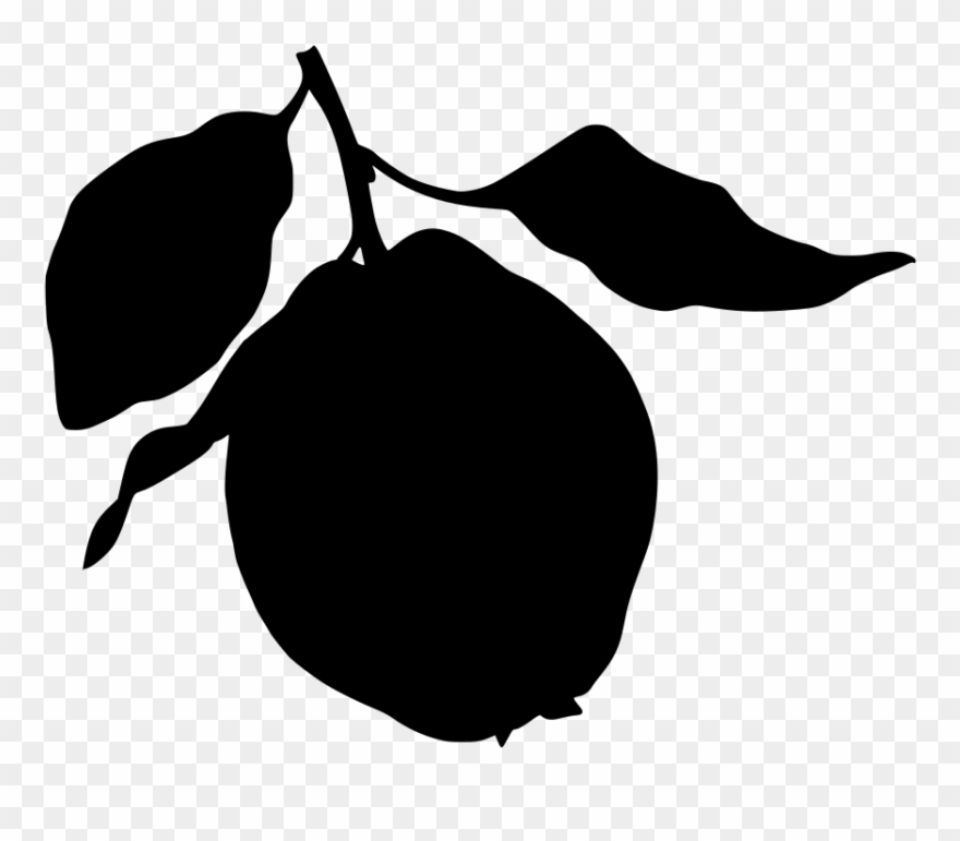 Info Clipart