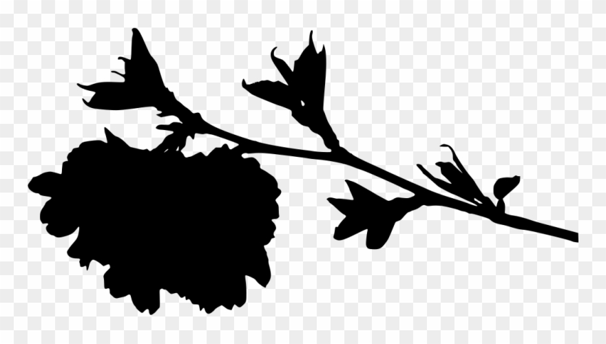 Info Clipart