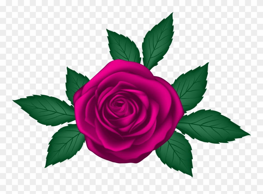 Rosa Clipart - Png Download