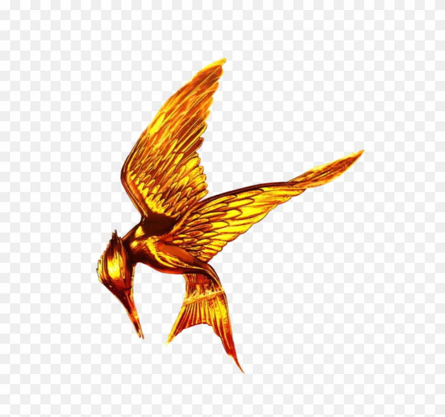 The Hunger Games Png Free Download Clipart