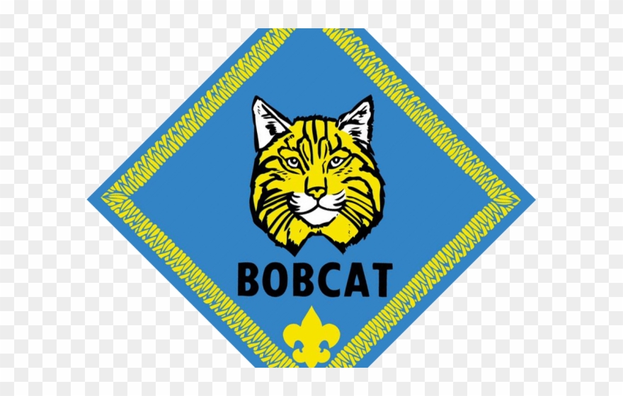 Cub Clipart Baby Bobcat - Png Download