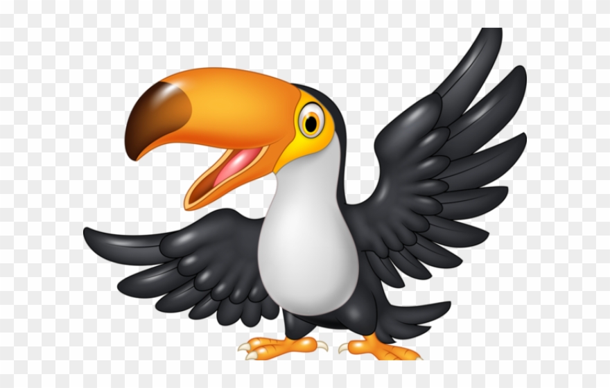 Parrot Clipart Toucan - Png Download