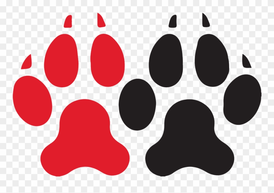 Northeastern University Huskies Men Clipart