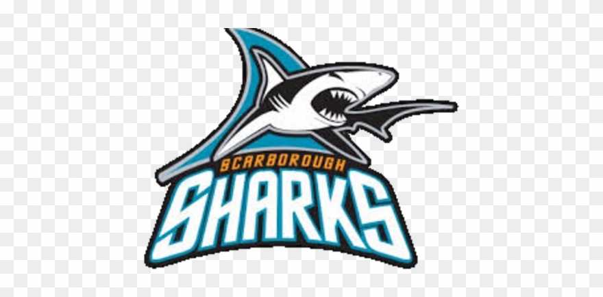 Scarborough Sharks Bantam B Girls Hockey Team Clipart