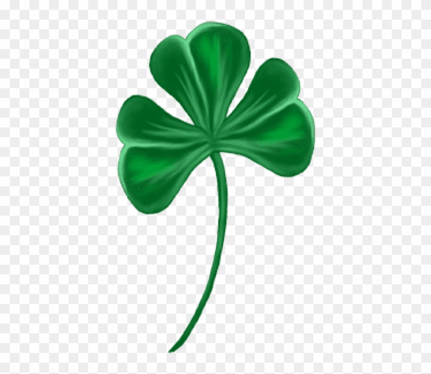 Free Png Download Shamrock Png Images Background Png Clipart