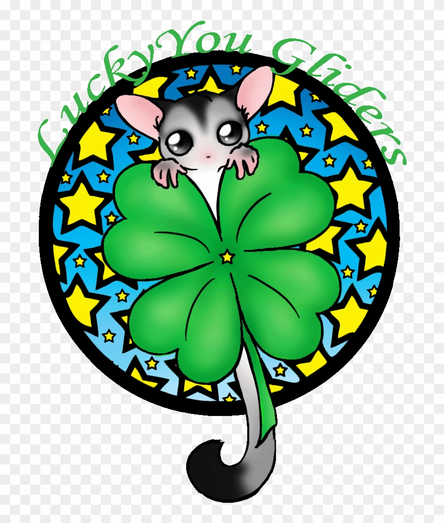 Sugar Glider Clipart Beautiful - Png Download