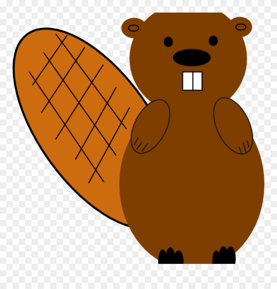 Clipart Beaver Beaver No Smile Clip Art At Clker Vector - Png Download