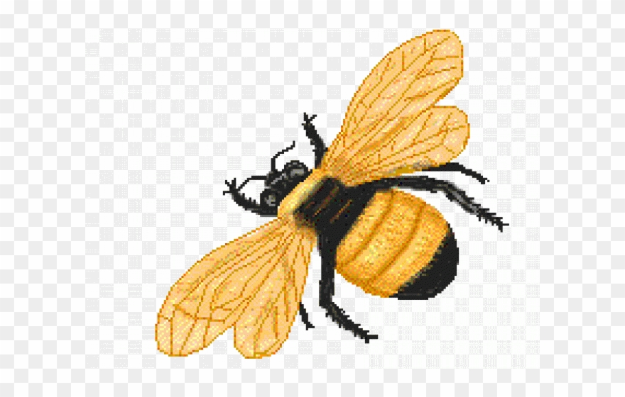 Bee Clipart King - Png Download