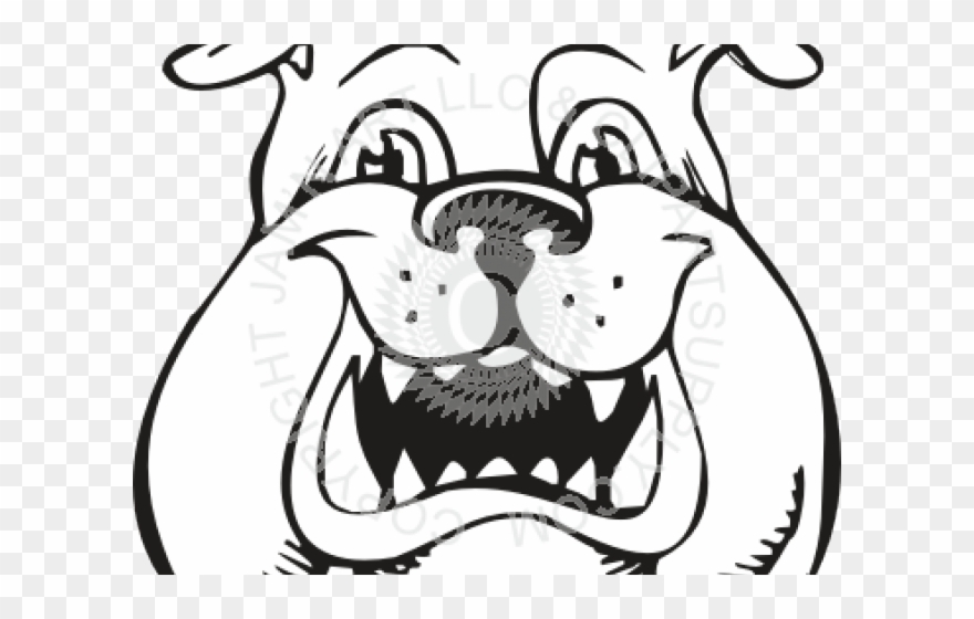 Bulldog Clipart Face - Png Download