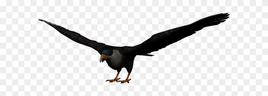 Bald Eagle Clipart Dead Eagle - Png Download