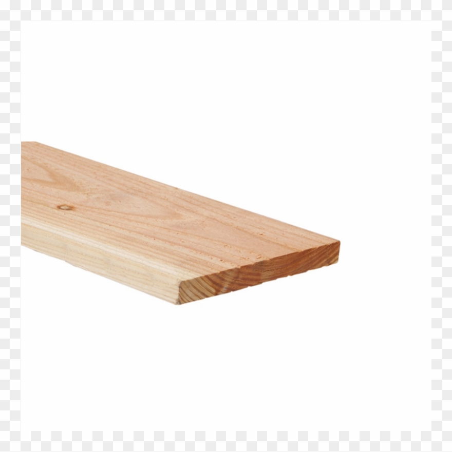 Planche Douglas Et Sapin Choix Clipart