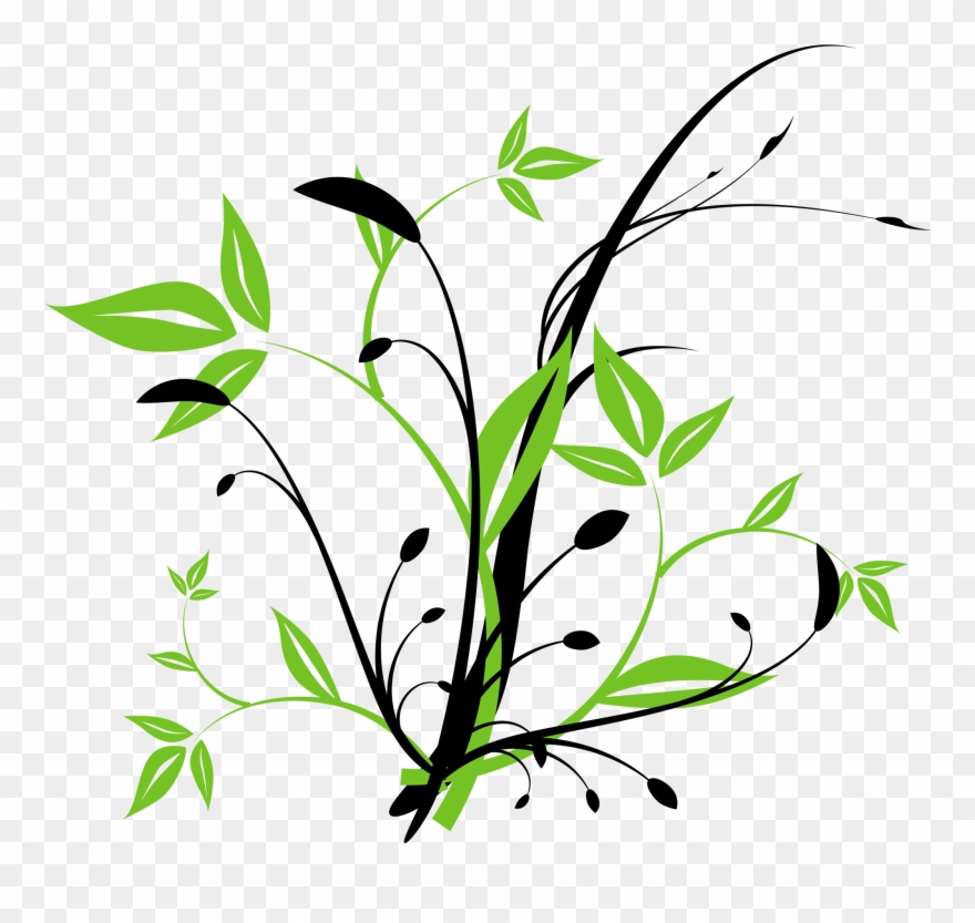 Hd Shapes Vecor Free Download Clipart