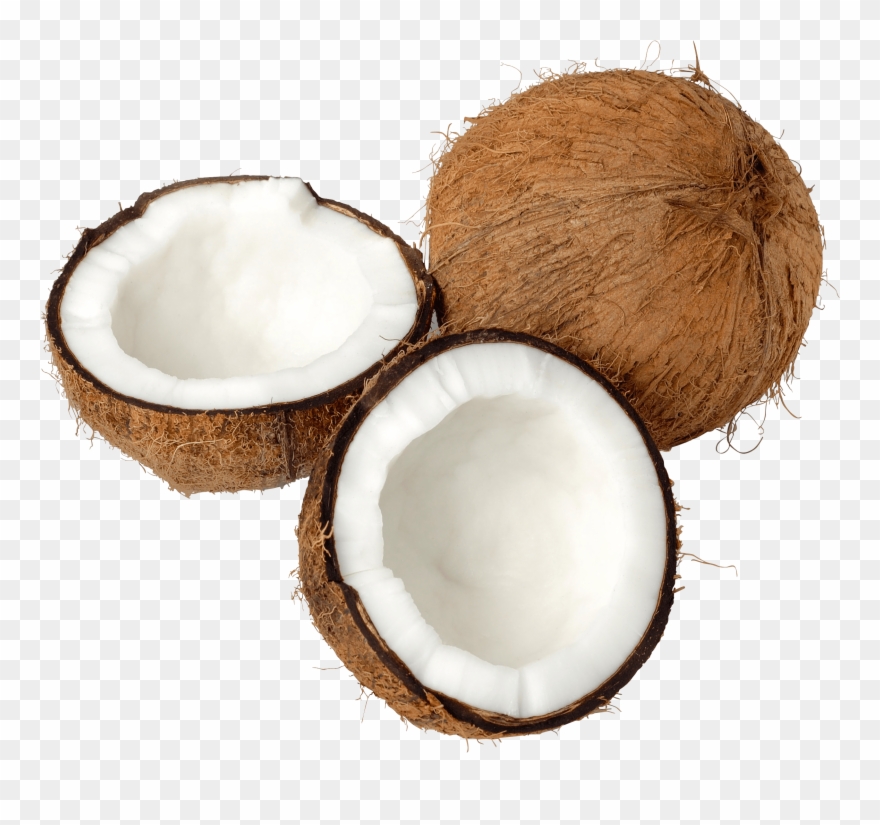 Coconut Clipart High Resolution - Png Download