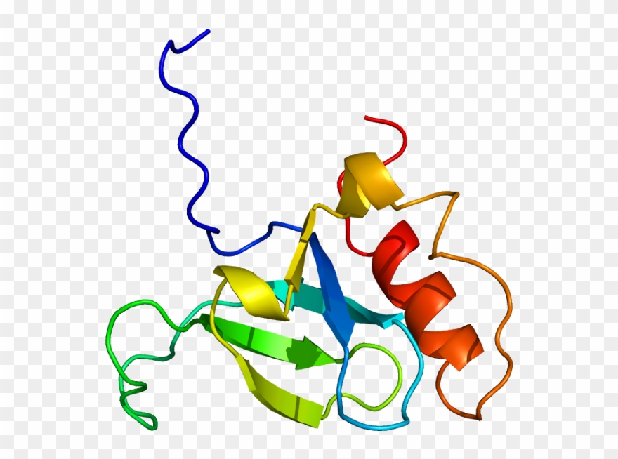 11, 23 December 2009 Clipart