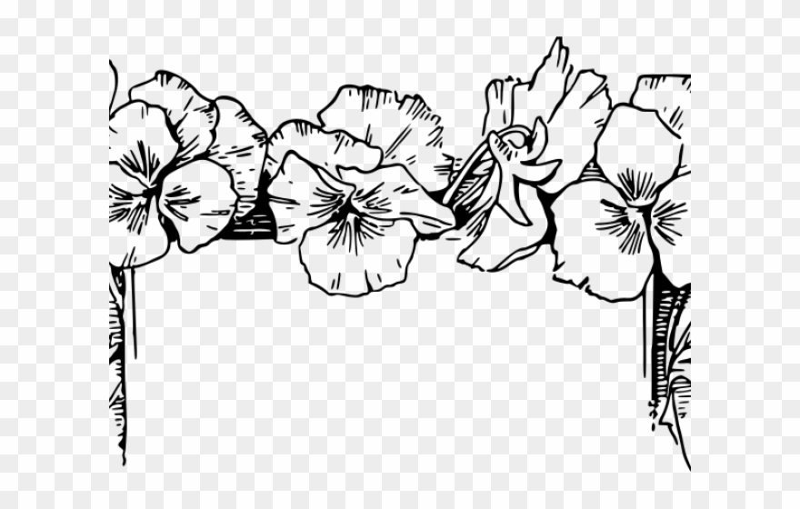 Flowers Borders Clipart Outline - Png Download