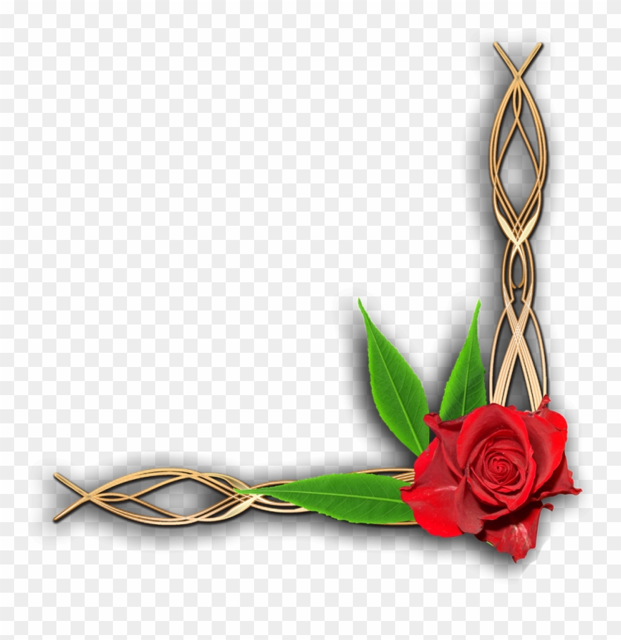 Floral Corner Border Png Clipart