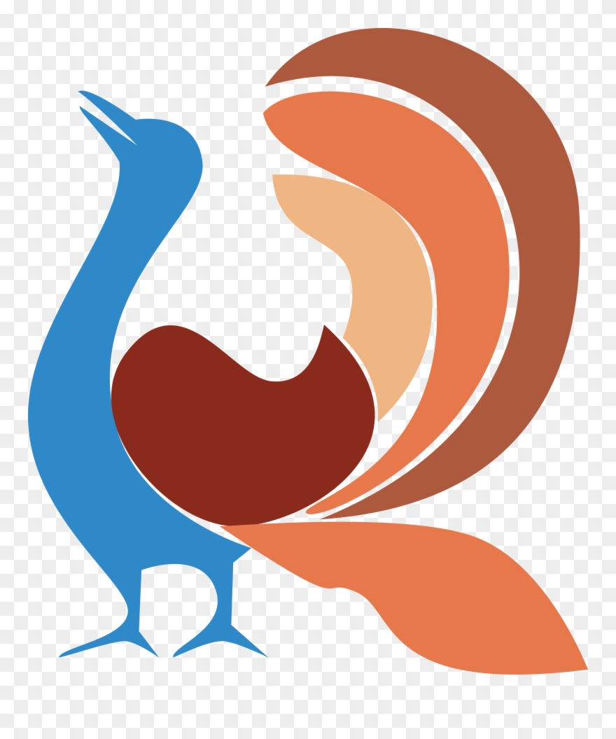 Png Coloured Clipart