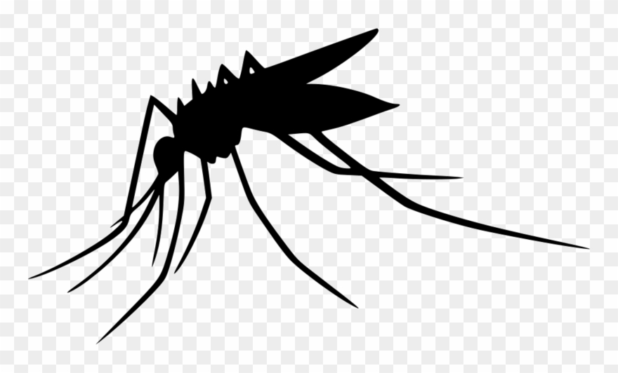 Mosquito Transparent Png Clipart