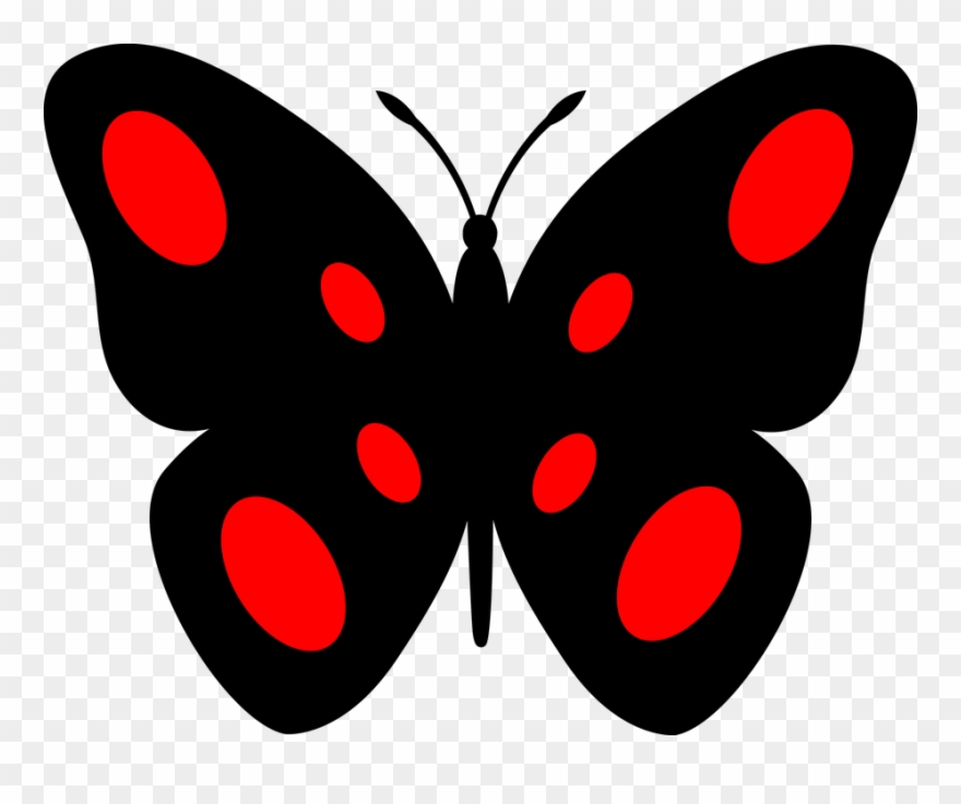 Butterfly, Decor, Beetle, Insect Clipart