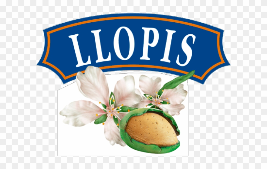 Society Clipart Lady Lunch - Png Download