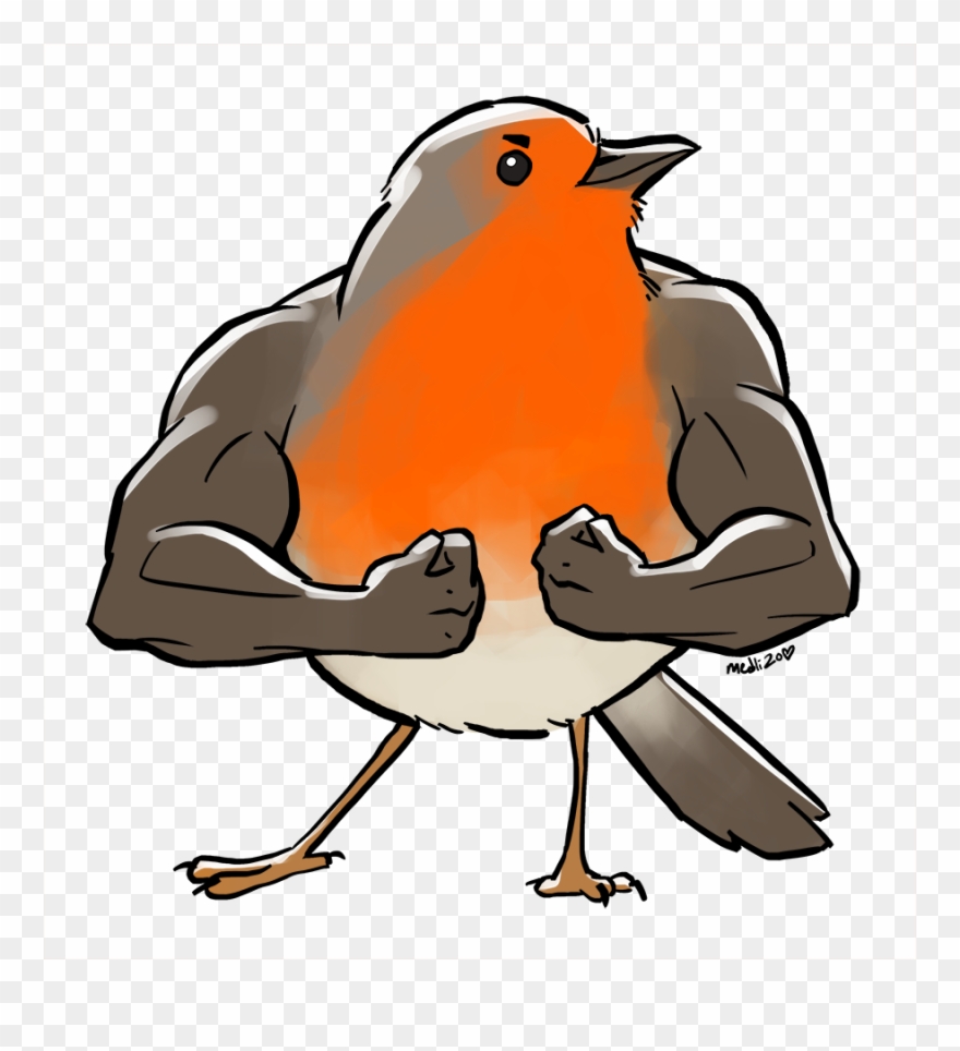 Clipart Birds Red Robin - Png Download