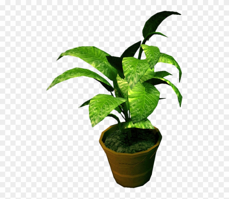 Potted Plants Clipart Transparent Background - Png Download