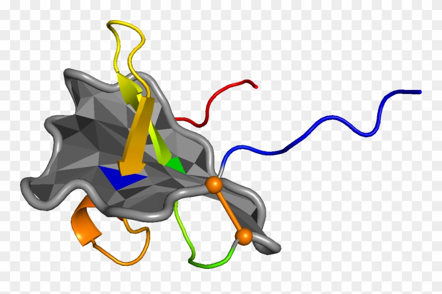 1 Crystal Structure Of Viral Macrophage Inflammatory Clipart