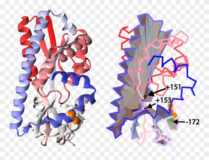 6 Example Of A Unique Configuration When A Segment Clipart