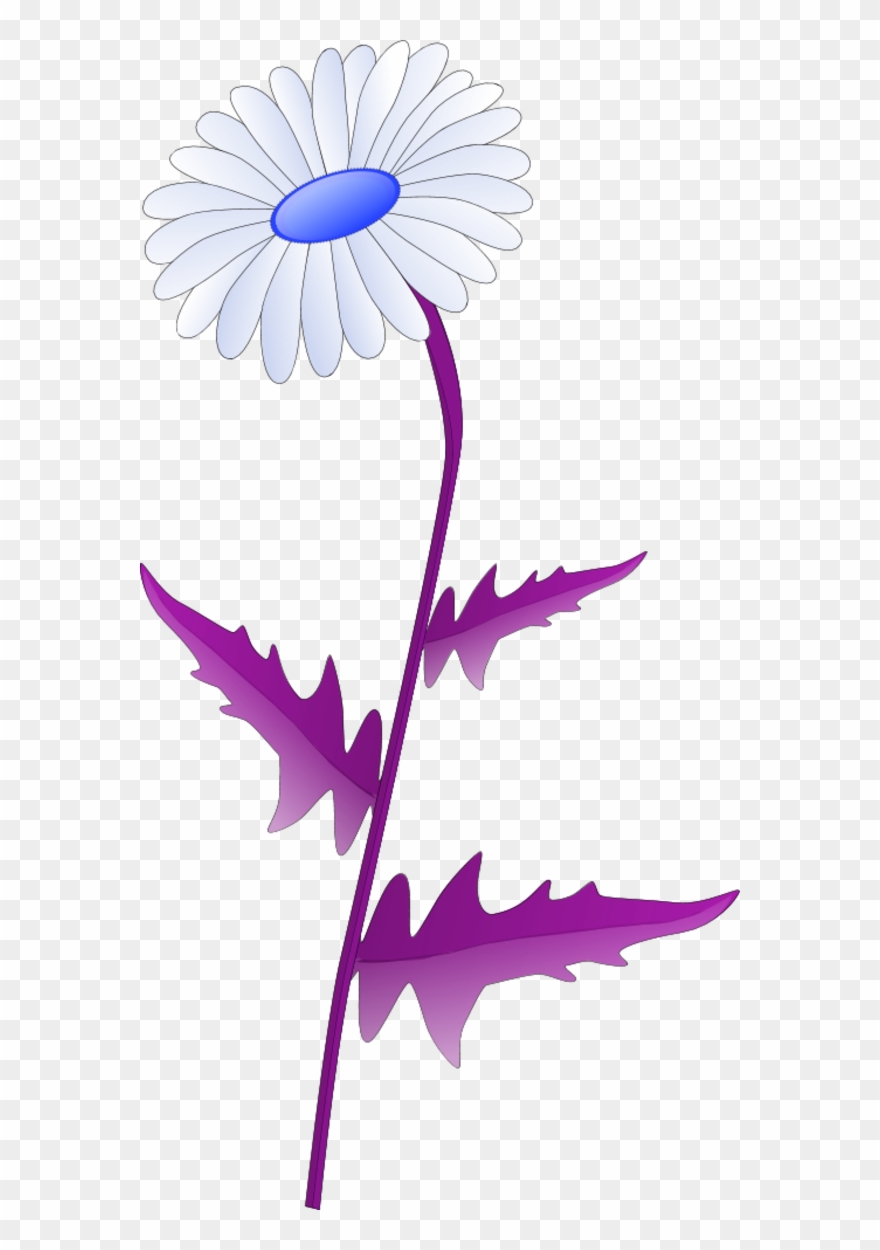 Vector Clip Art - Png Download