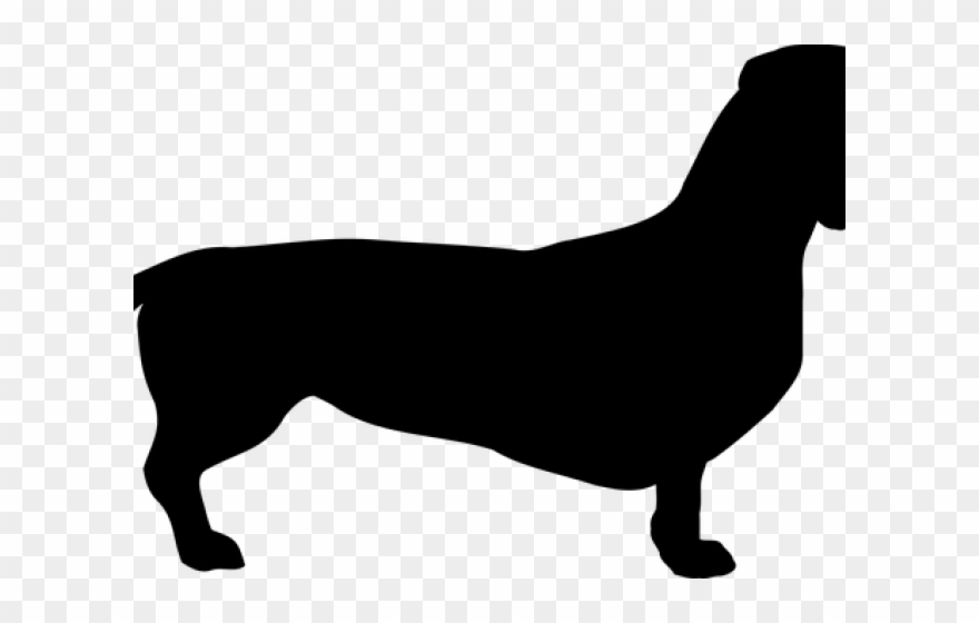 Dachshund Clipart Zentangle - Png Download