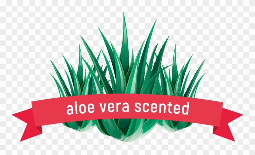 Imperium Legacy 9 Roll Pack Clipart