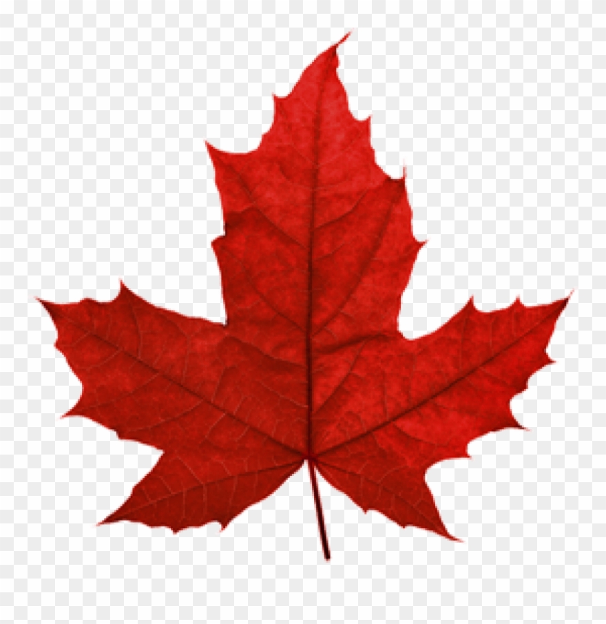 Clip Art Images - Png Download