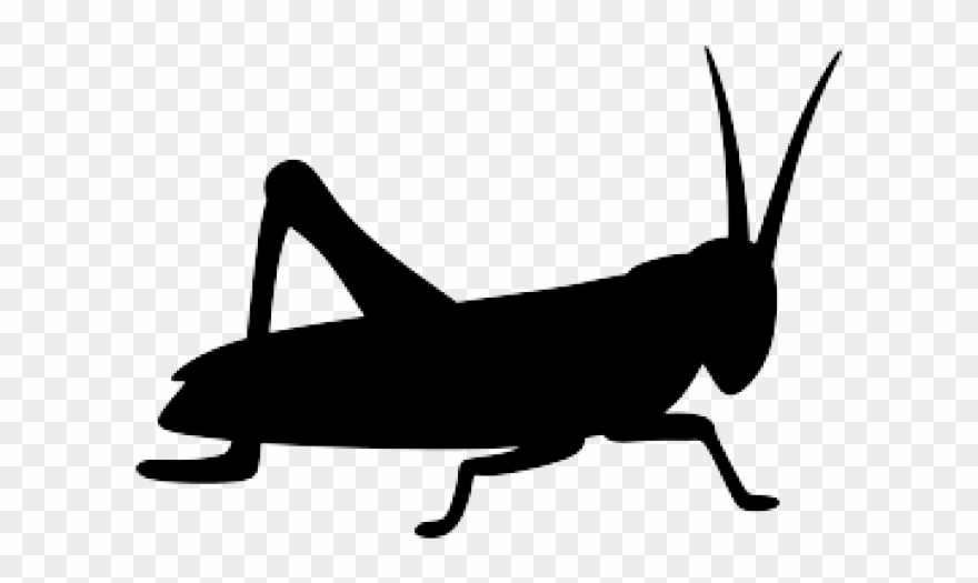 Insect Clipart Silhouette - Png Download