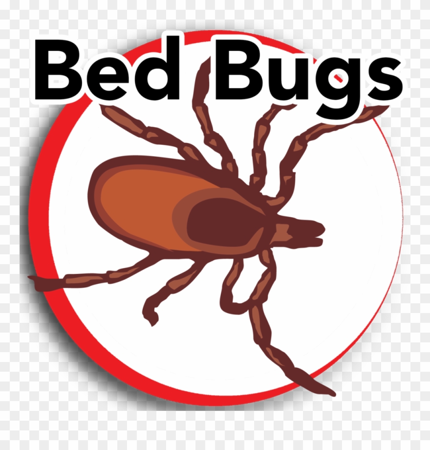 Bed Bugs Update Clipart