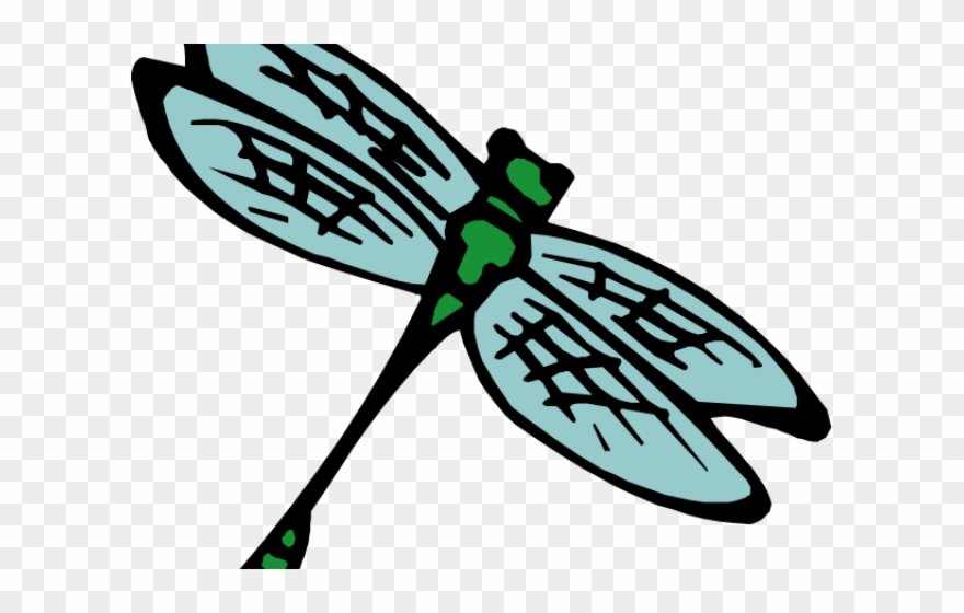 Bug Clipart Insect - Png Download