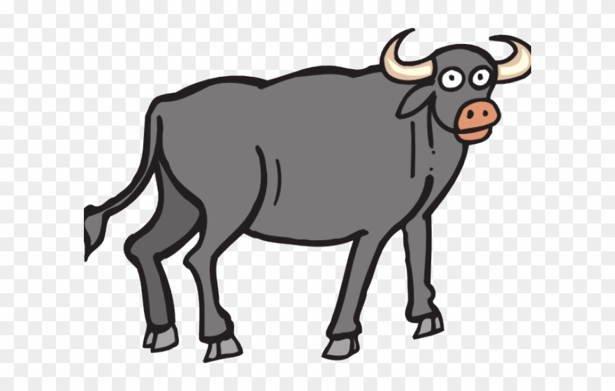 Buffalo Clipart - Png Download