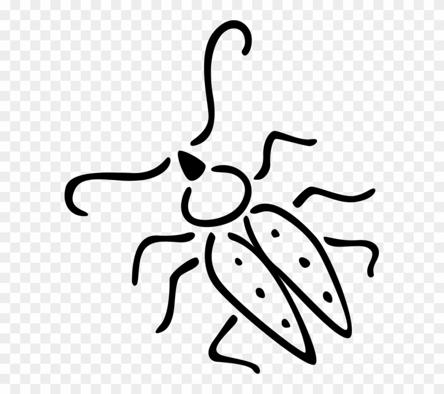 Flying Insect Image Illustration Clipart