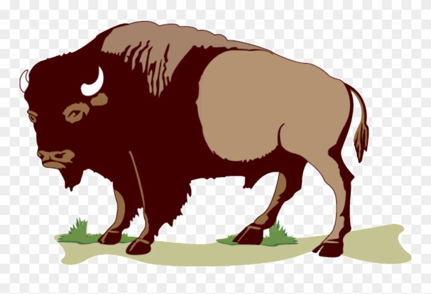 Buffalo Sticker Clipart