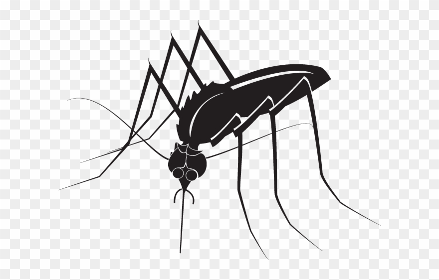 363ra - Mosquito - 363ra - Mosquito Clipart