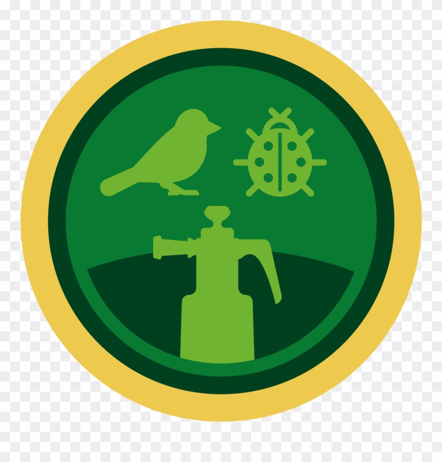 Pesticide Use Reduction In The Production Of Grapes, Clipart