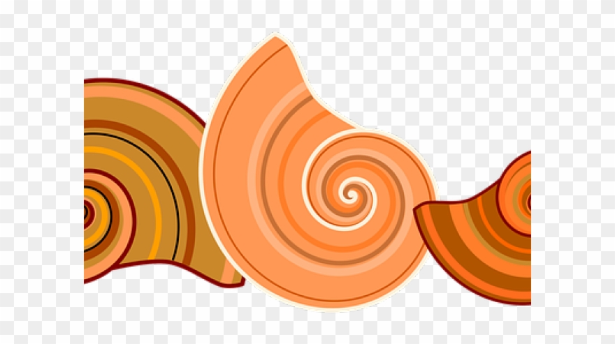 Spiral Clipart Snail Shell - Png Download