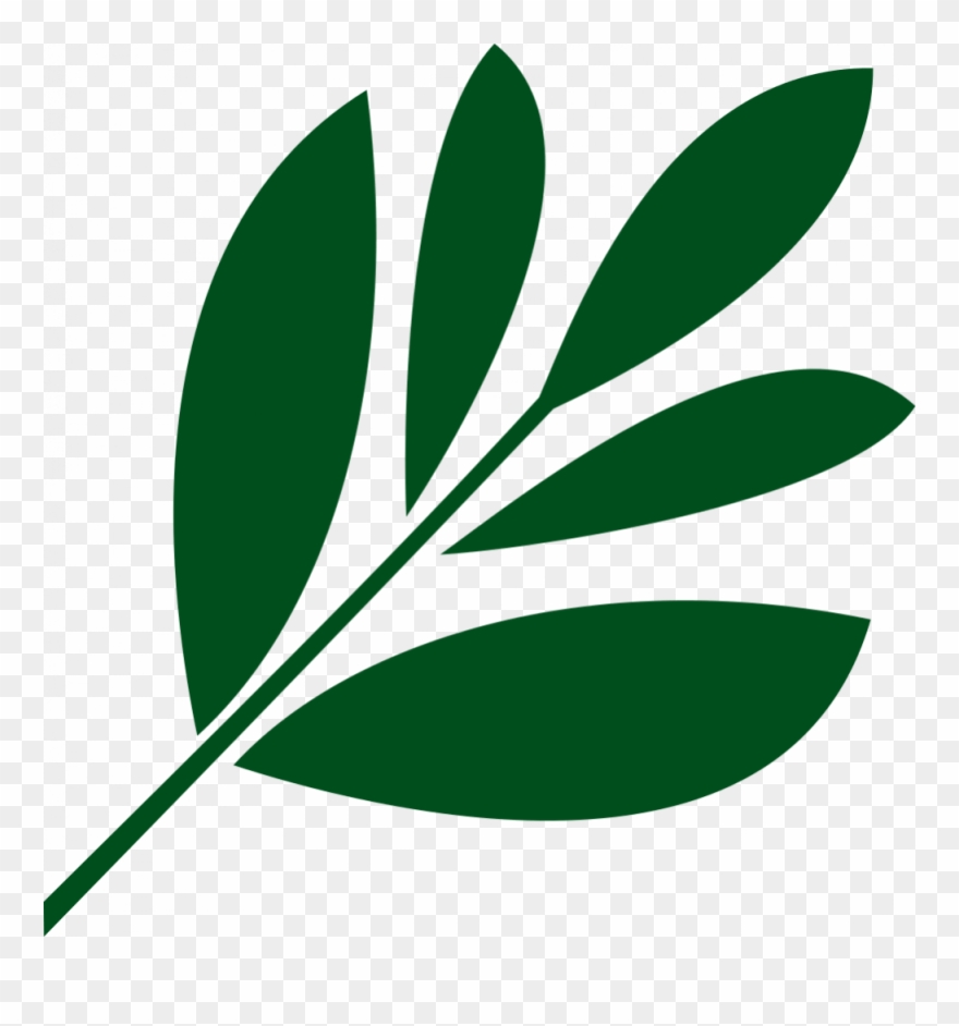 16 Years Of Experience Clipart