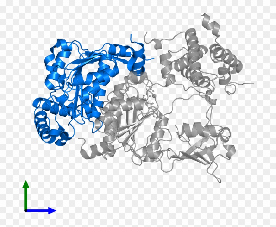 <div Class='caption-body'>pdb Entry 1y8q Contains 1 Clipart