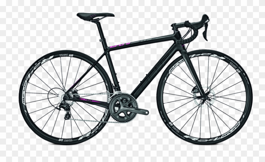 2017 Focus Cayo Disc Donna Ultegra Clipart