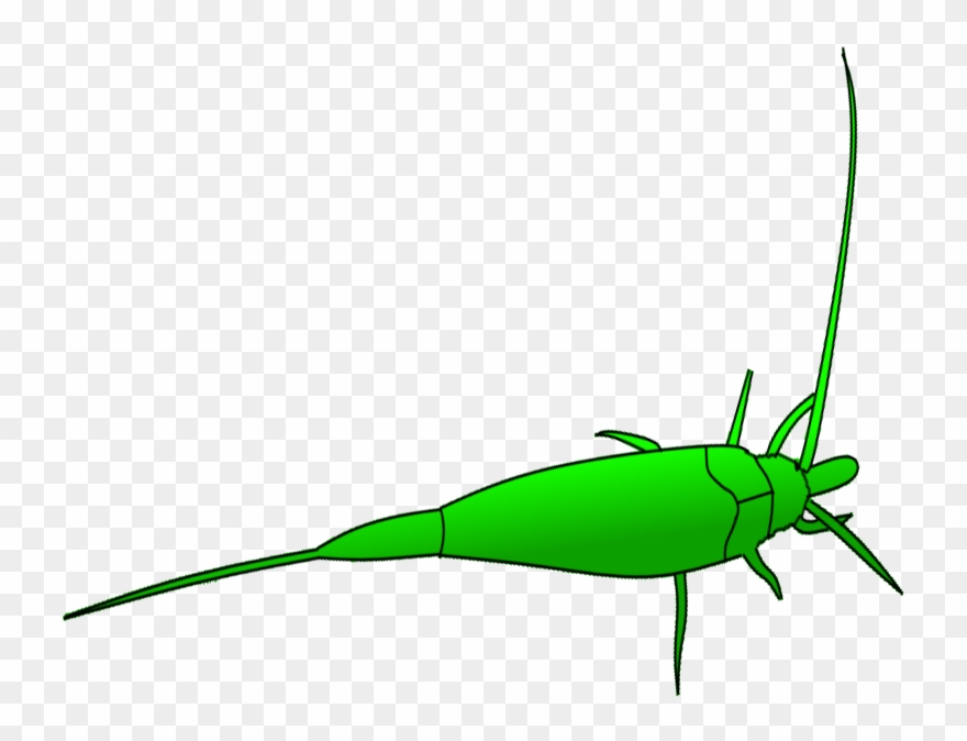 Grasshopper Clipart Dead - Png Download