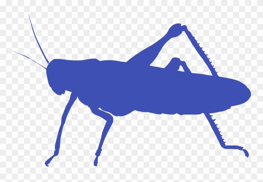 Info Clipart