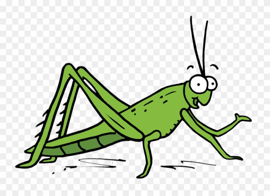 Grasshopper Clipart