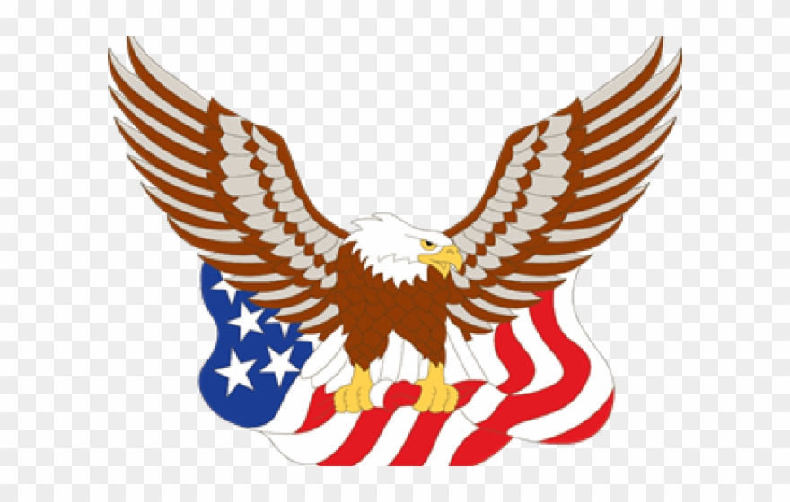 Red Tailed Hawk Clipart Helang - Png Download