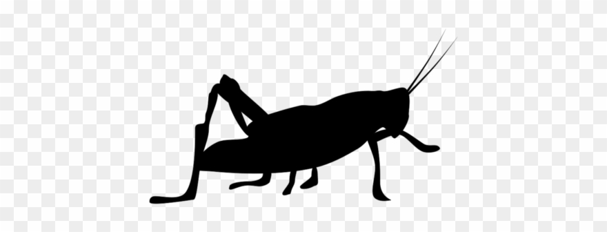 Nov 12, Clipart